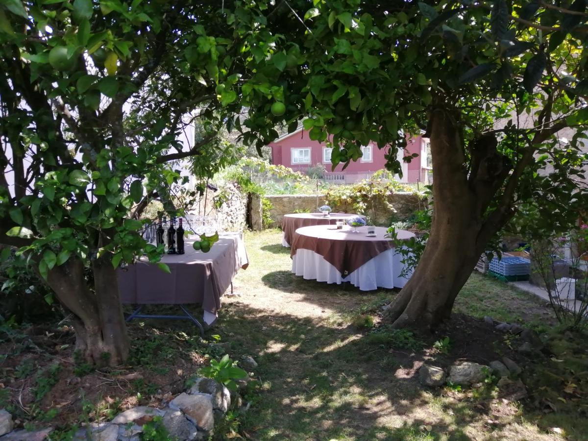 Maison d'hôtes O Cruceiro à Valmaior Extérieur photo